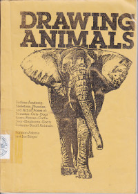 Image of Drawing Animals